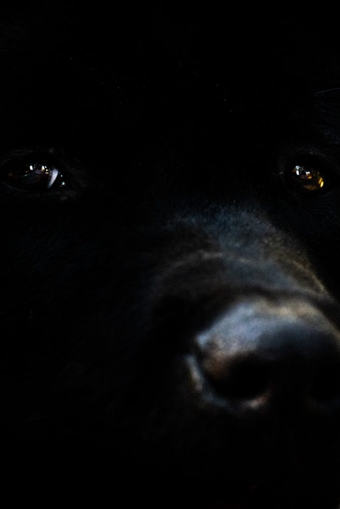 Aguas que no has de beber No.11, 2022, Archival pigment print, 60 x 40 cm, Overall-Edition of 8 + 2AP