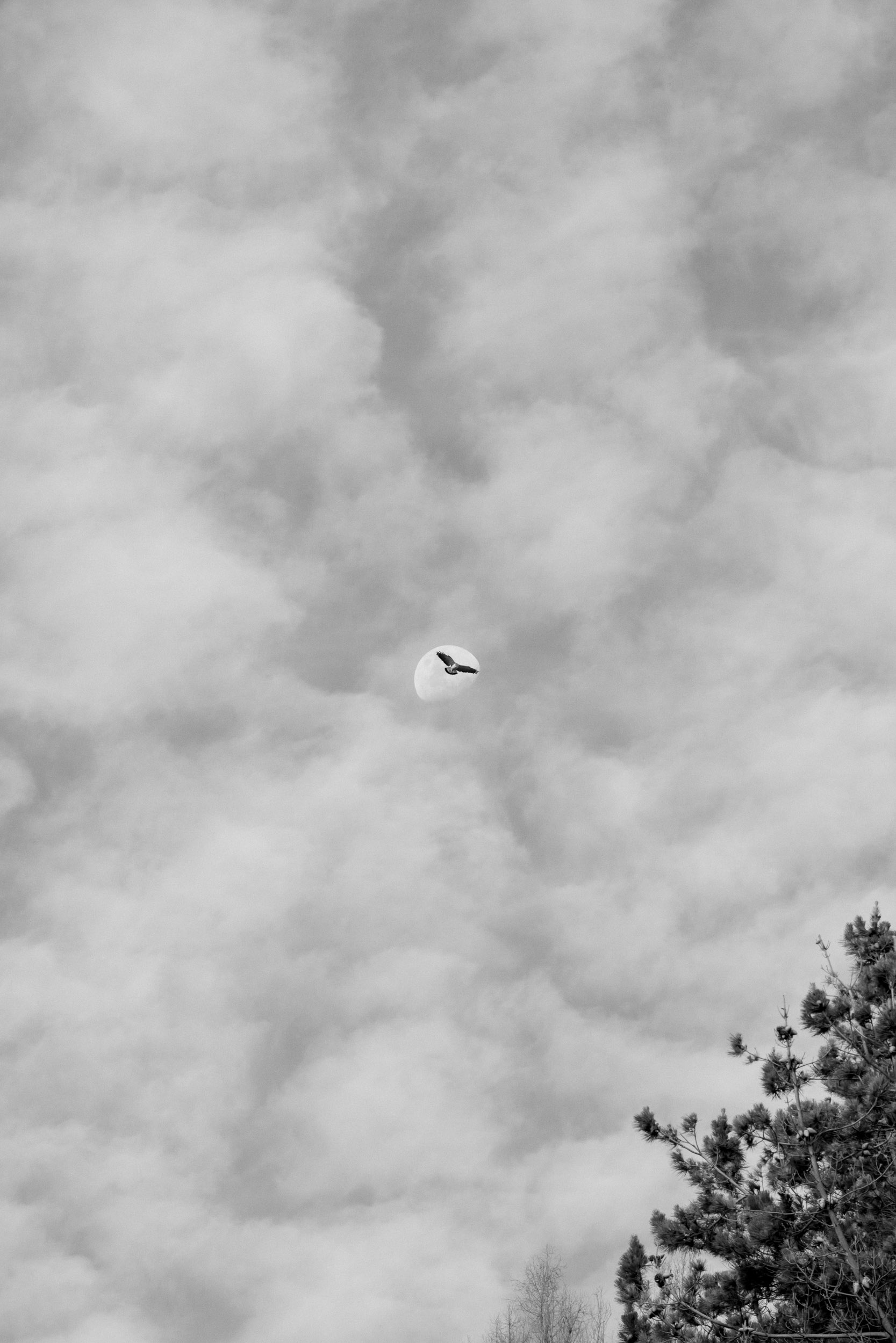 Jörg Brüggemann – Aguas que no has de beber No.17, 2022, Archival pigment print, 60 x 40 cm, Overall-Edition of 8 + 2AP