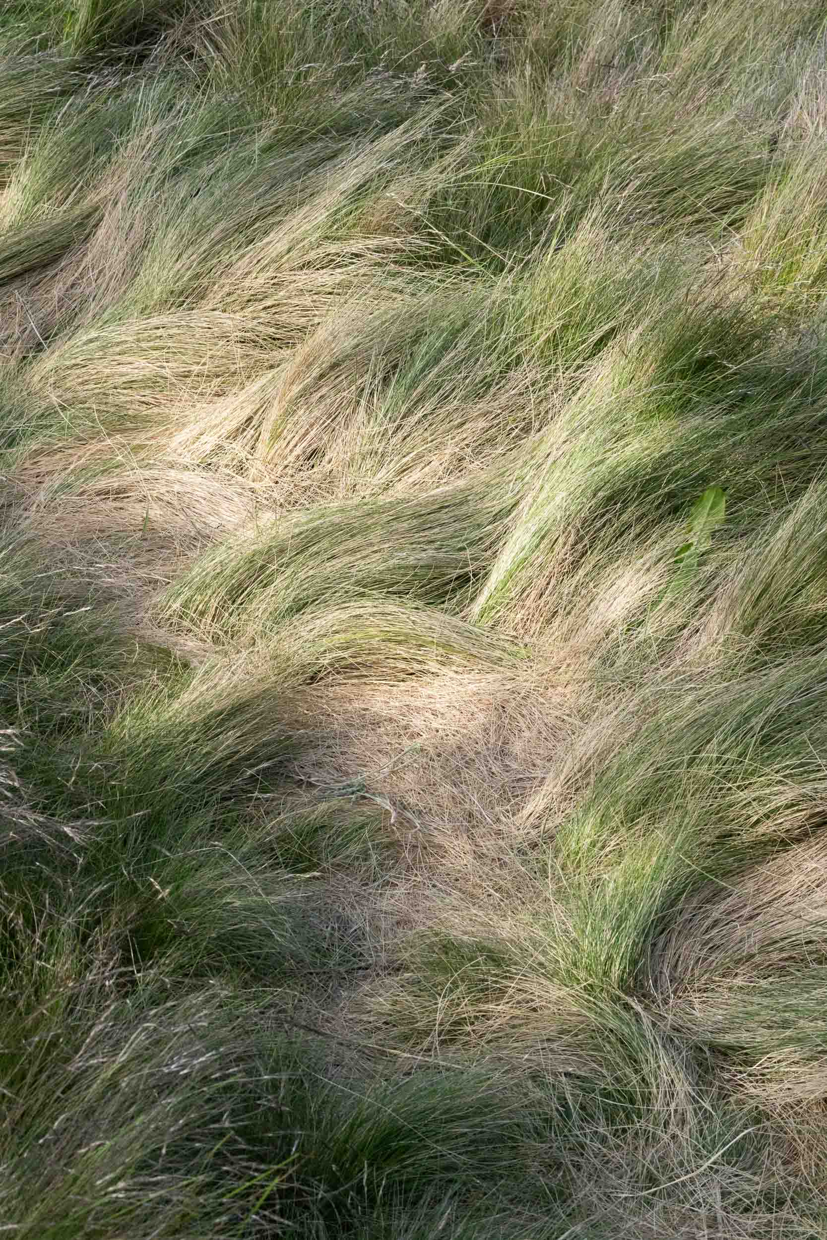 Jörg Brüggemann – Aguas que no has de beber No.28, 2022, Archival pigment print, 60 x 40 cm, Overall-Edition of 8 + 2AP