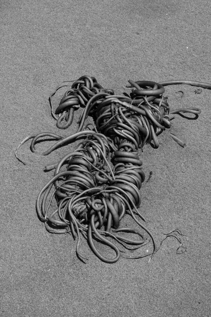 Aguas que no has de beber No.29, 2022, Archival pigment print, 60 x 40 cm, Overall-Edition of 8 + 2AP