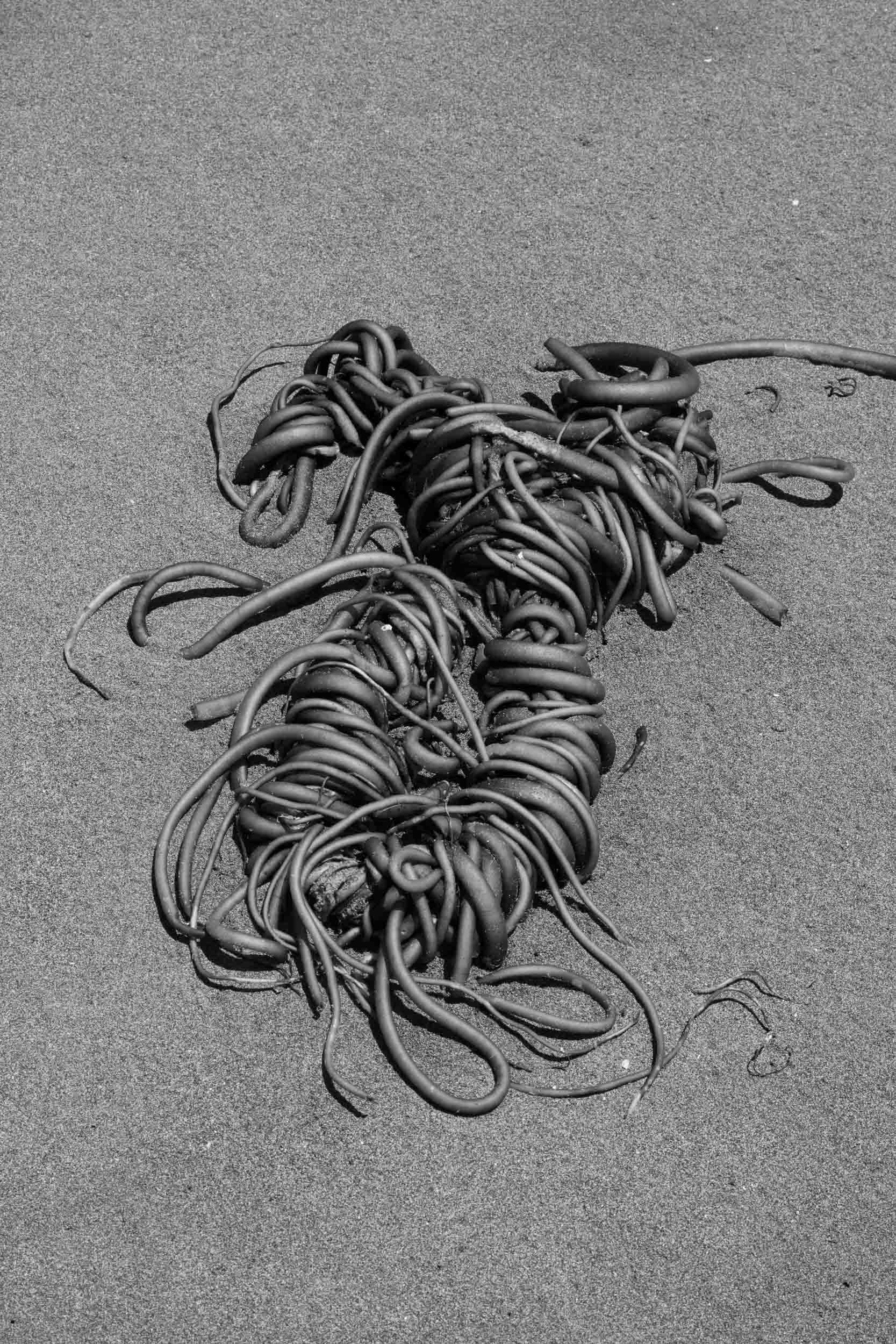 Jörg Brüggemann – Aguas que no has de beber No.29, 2022, Archival pigment print, 60 x 40 cm, Overall-Edition of 8 + 2AP