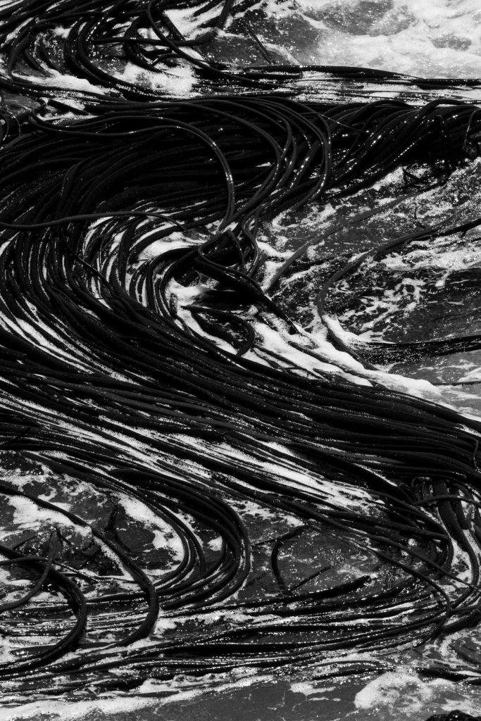 Aguas que no has de beber No.2, 2022, Archival pigment print, 60 x 40 cm, Overall-Edition of 8 + 2AP