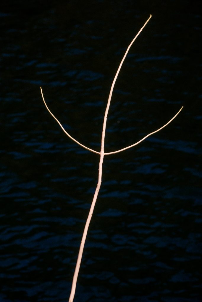 Aguas que no has de beber No.8, 2022, Archival pigment print, 60 x 40 cm, Overall-Edition of 8 + 2AP