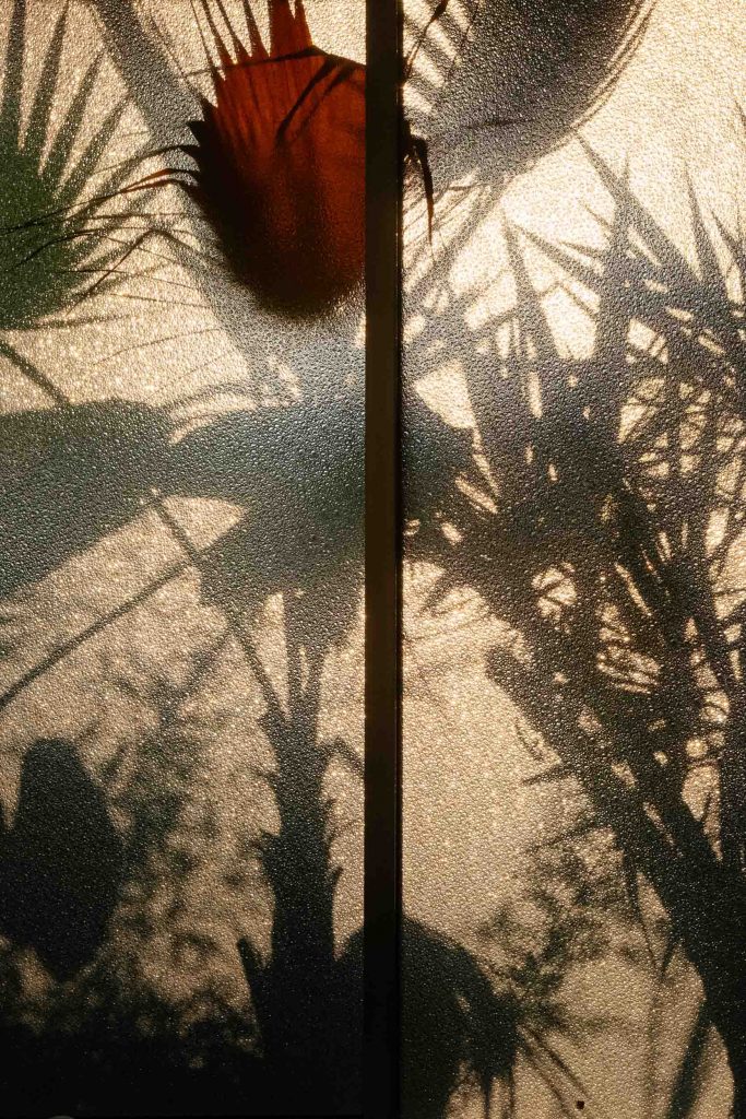 Mi madre tiene novio No.11, 2018, Archival pigment print, 60 x 40 cm, Overall-Edition of 8 + 2AP