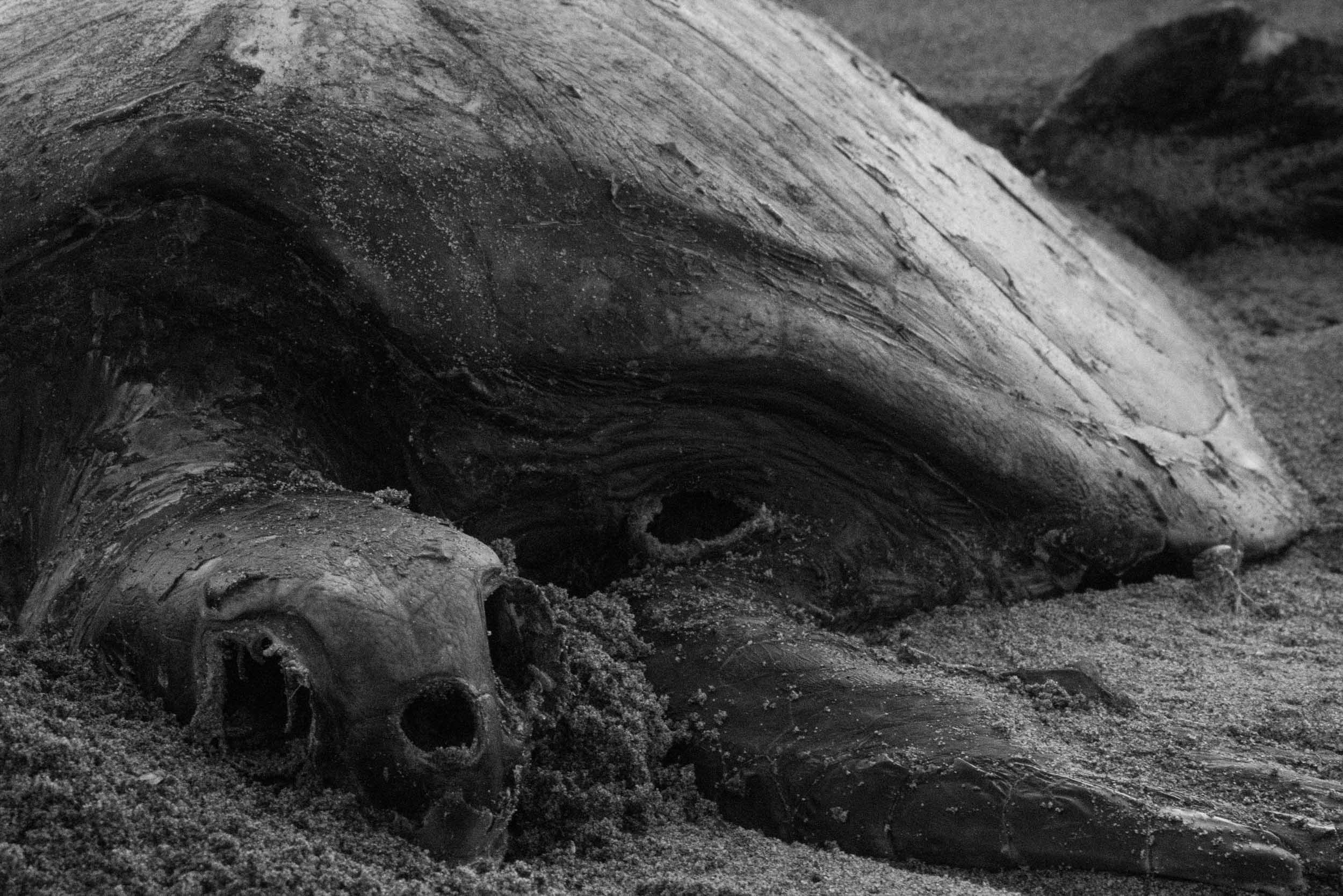 Jörg Brüggemann – Mi madre tiene novio No.20, 2018, Archival pigment print, 30 x 45 cm, Overall-Edition of 8 + 2AP