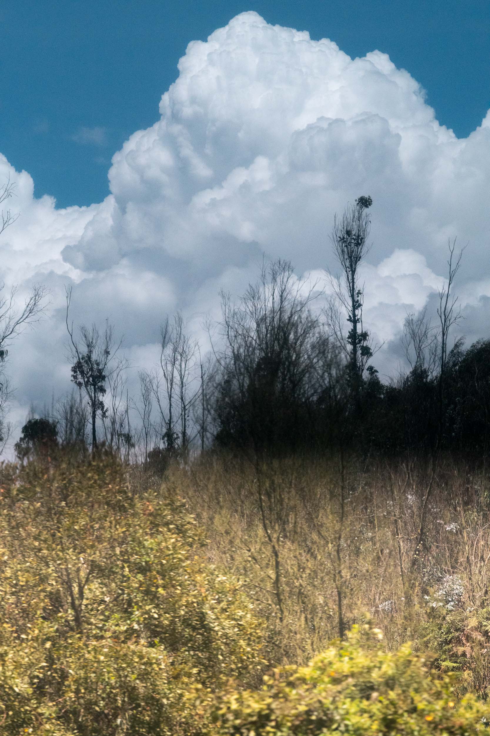 Jörg Brüggemann – Mi madre tiene novio No.2, 2018, Archival pigment print, 60 x 40 cm, Overall-Edition of 8 + 2AP