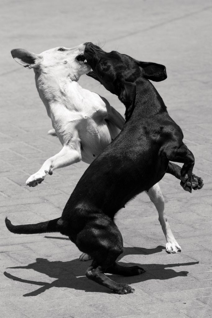 Mi madre tiene novio No.5, 2018, Archival pigment print, 60 x 40 cm, Overall-Edition of 8 + 2AP