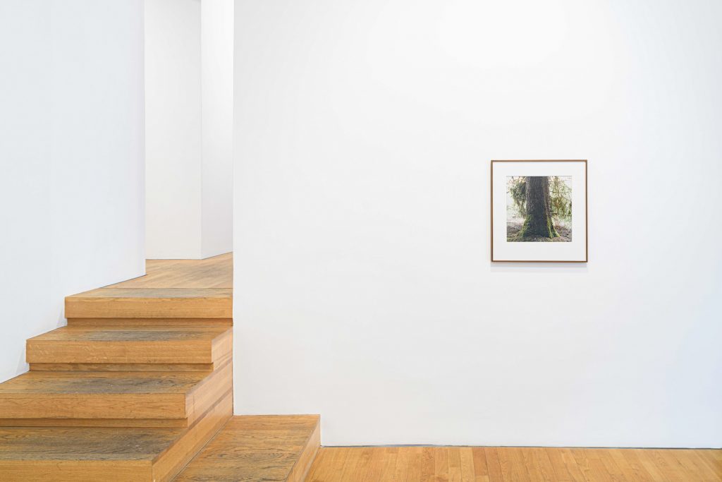 'MÜHL' at ROBERT MORAT GALERIE, Berlin, 2024