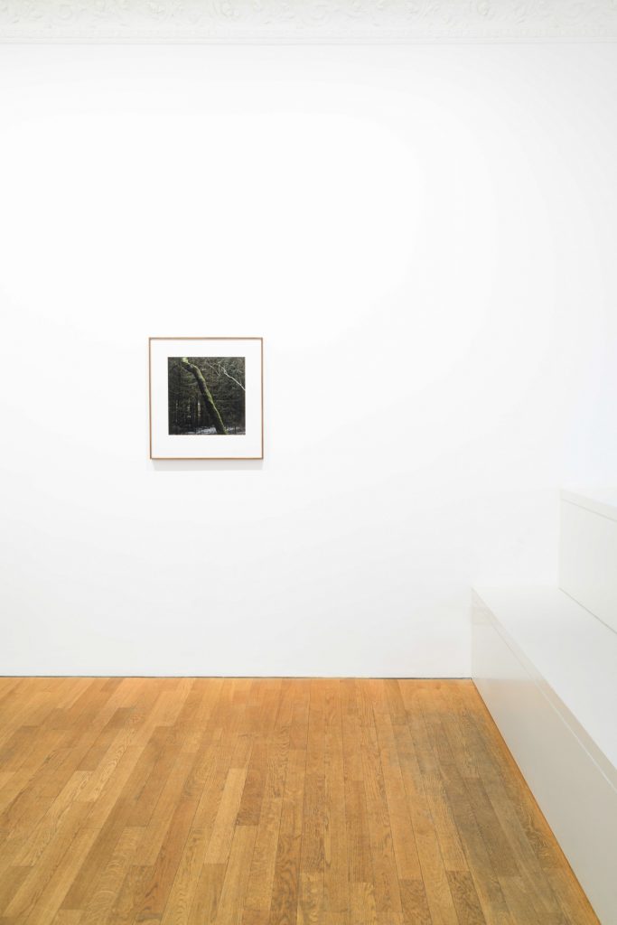 'MÜHL' at ROBERT MORAT GALERIE, Berlin, 2024