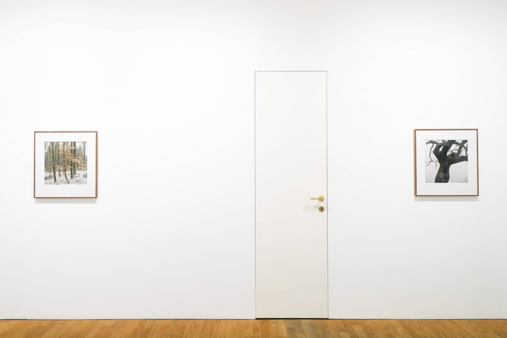 'MÜHL' at ROBERT MORAT GALERIE, Berlin, 2024