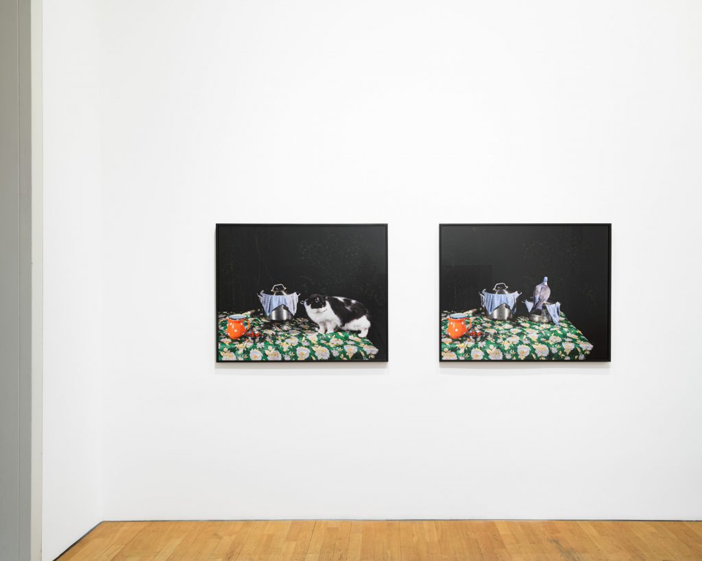 'Plates I-XXXI' at ROBERT MORAT GALERIE, Berlin, 2024