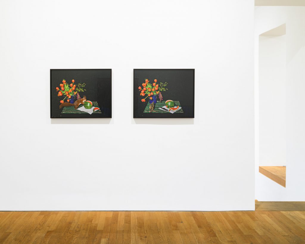 'Plates I-XXXI' at ROBERT MORAT GALERIE, Berlin, 2024