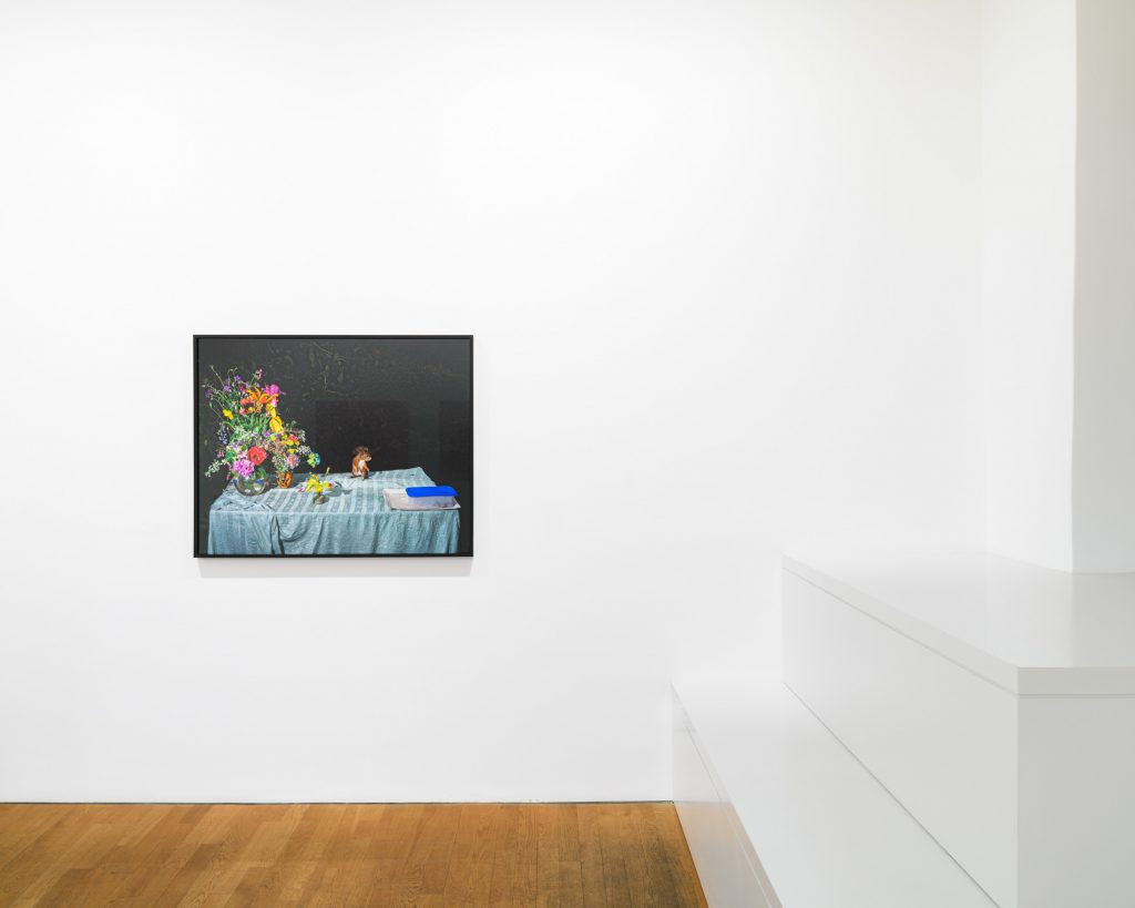 'Plates I-XXXI' at ROBERT MORAT GALERIE, Berlin, 2024