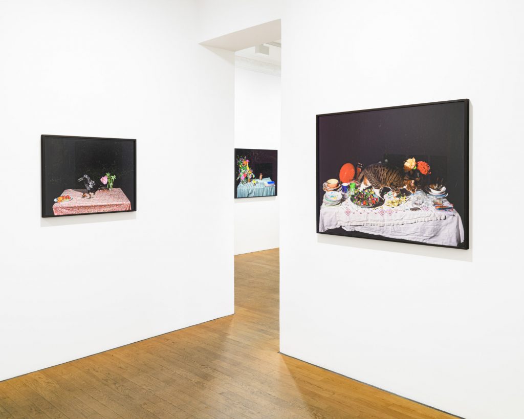 'Plates I-XXXI' at ROBERT MORAT GALERIE, Berlin, 2024