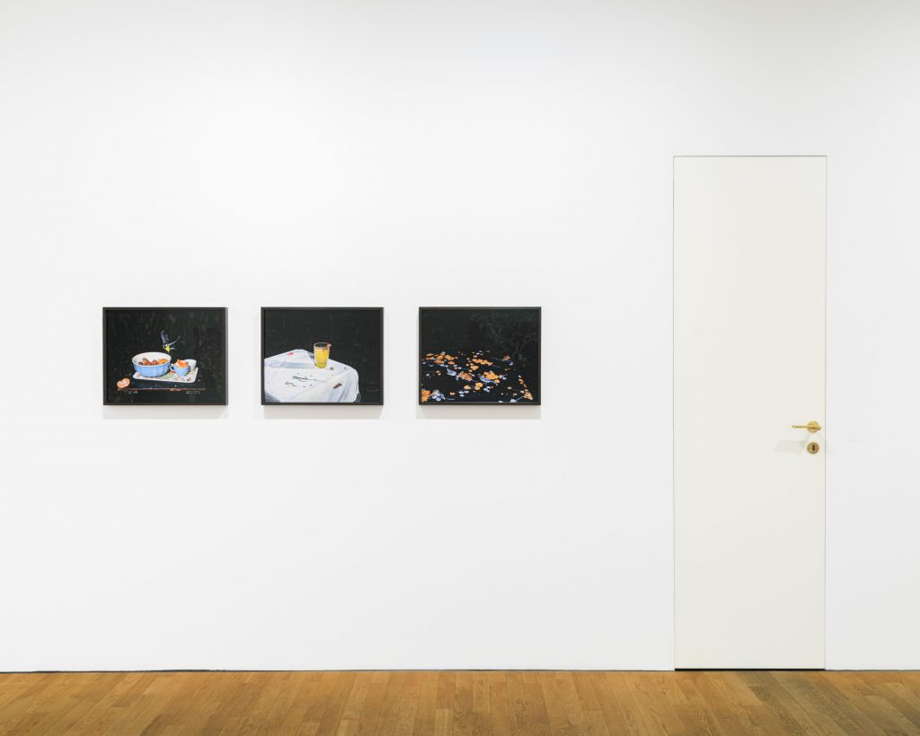 'Plates I-XXXI' at ROBERT MORAT GALERIE, Berlin, 2024