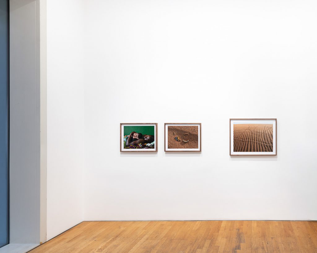 Constant Bloom at Robert Morat Galerie, Berlin 2025