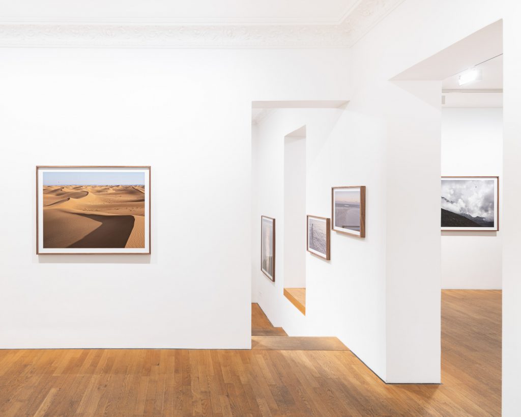 Constant Bloom at Robert Morat Galerie, Berlin 2025