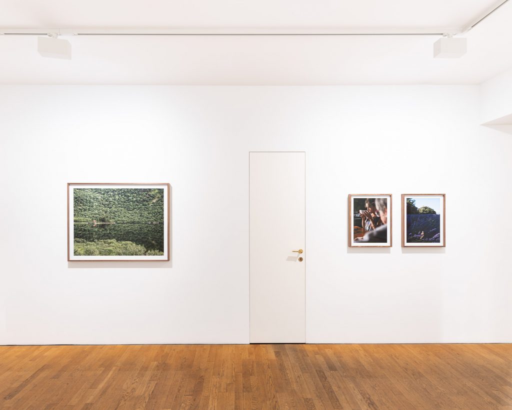 Constant Bloom at Robert Morat Galerie, Berlin 2025