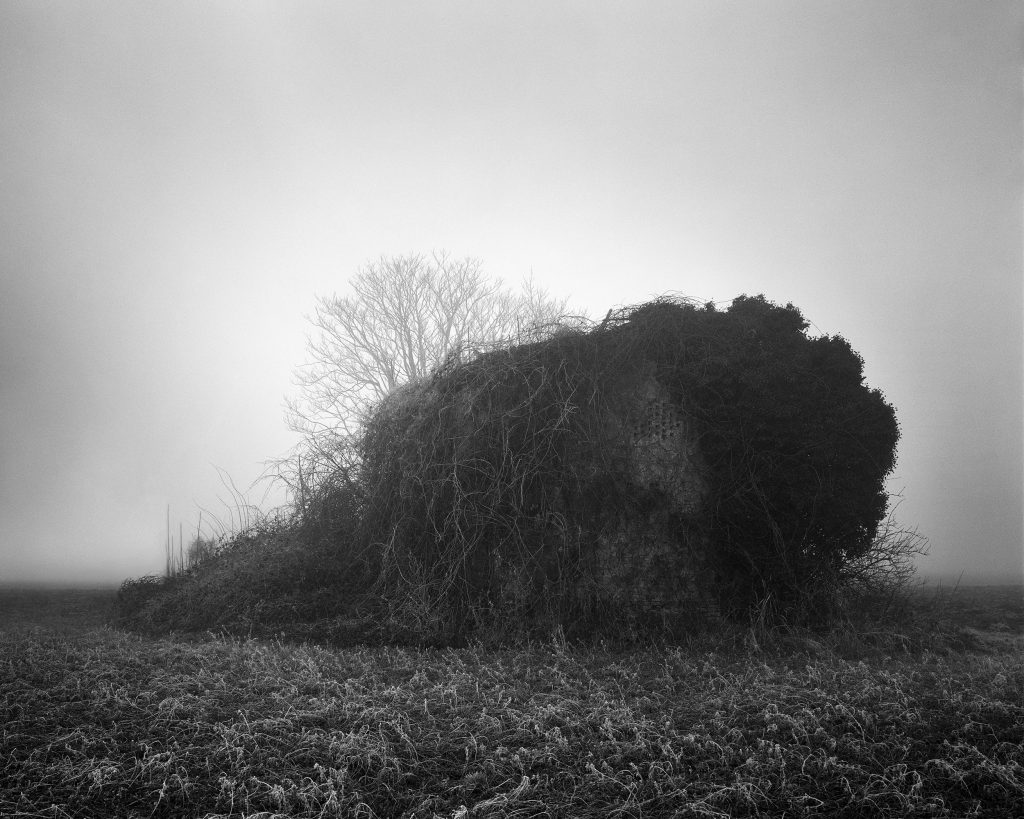 Gallinaro, Padova, 2015, Pigment print, 120 x 150 cm, Edition of 5 + 2AP
