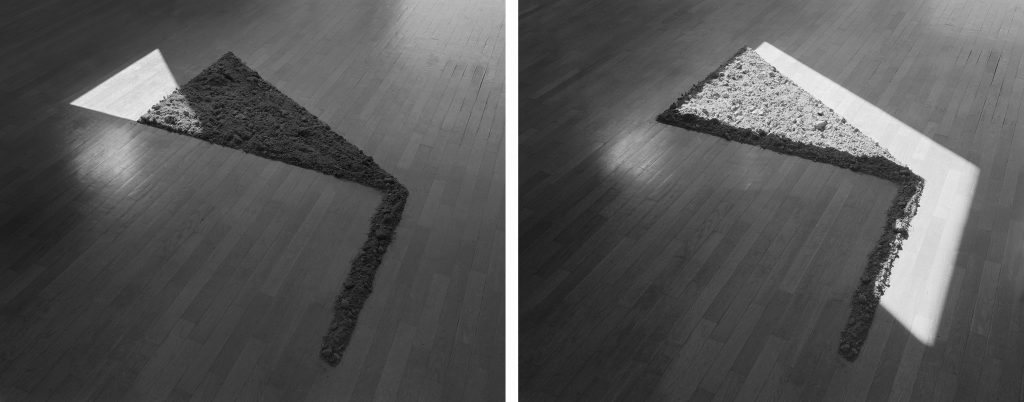 Maggese, 2017, Pigment print, each 40 x 50 cm (Diptych), Edition of 5 + 2AP