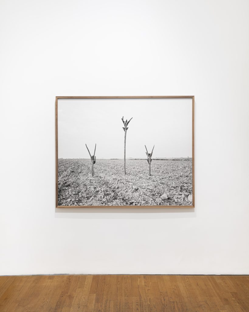 Between Fields and Spirits at Robert Morat Galerie, Berlin 2025