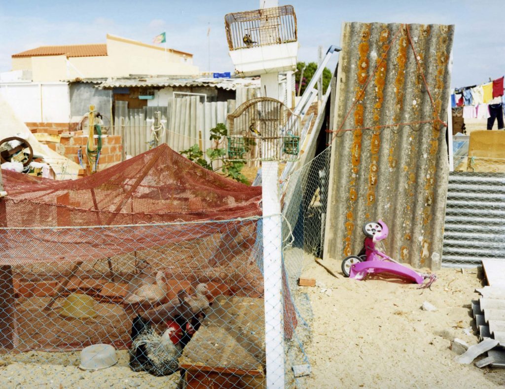 Joachim Brohm – Backyard (From ‘Culatra’), 2005, C-print, 85 x 100 cm, Edition of 5 + 2AP