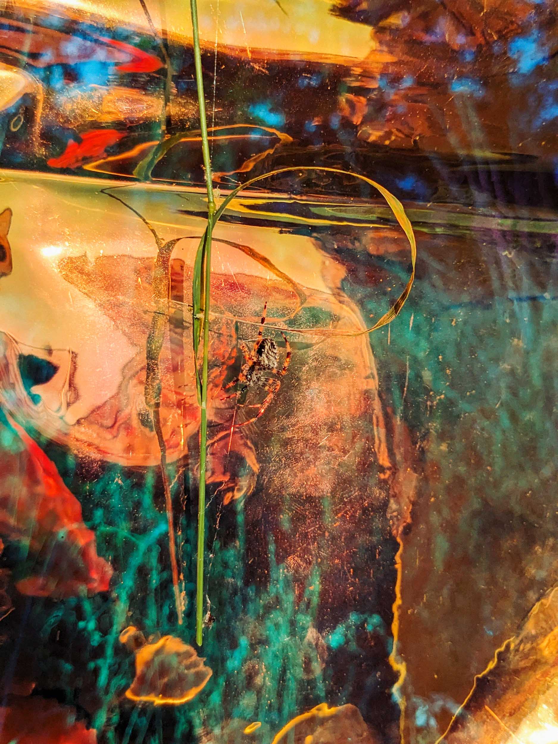 Den Zenith immer weiter / The zenith, ever further, 2023, Chromaluxe print (dye-sublimation print on aluminium), 60 x 45 cm, Edition of 4 + 1AP (AG85)