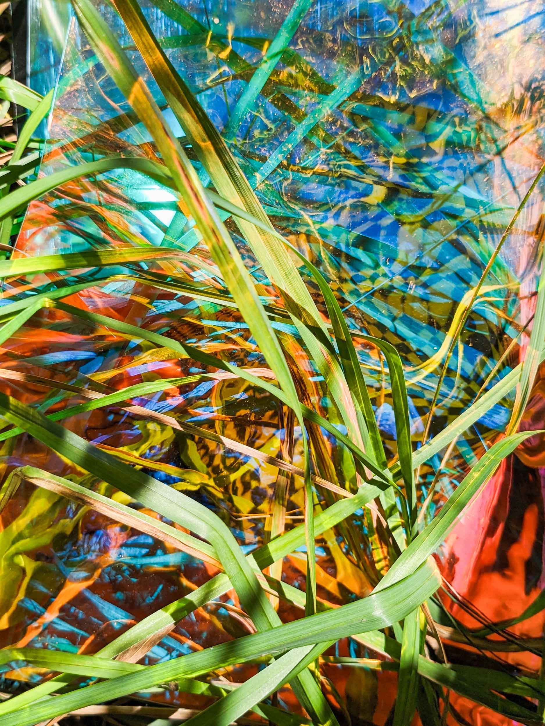 Ein freudig aufjauchzender Tumult / A Rapturous Uproar, 2025, Chromalux print (dye-sublimation print on aluminium), 60 x 45 cm, Edition of 4 + 1AP