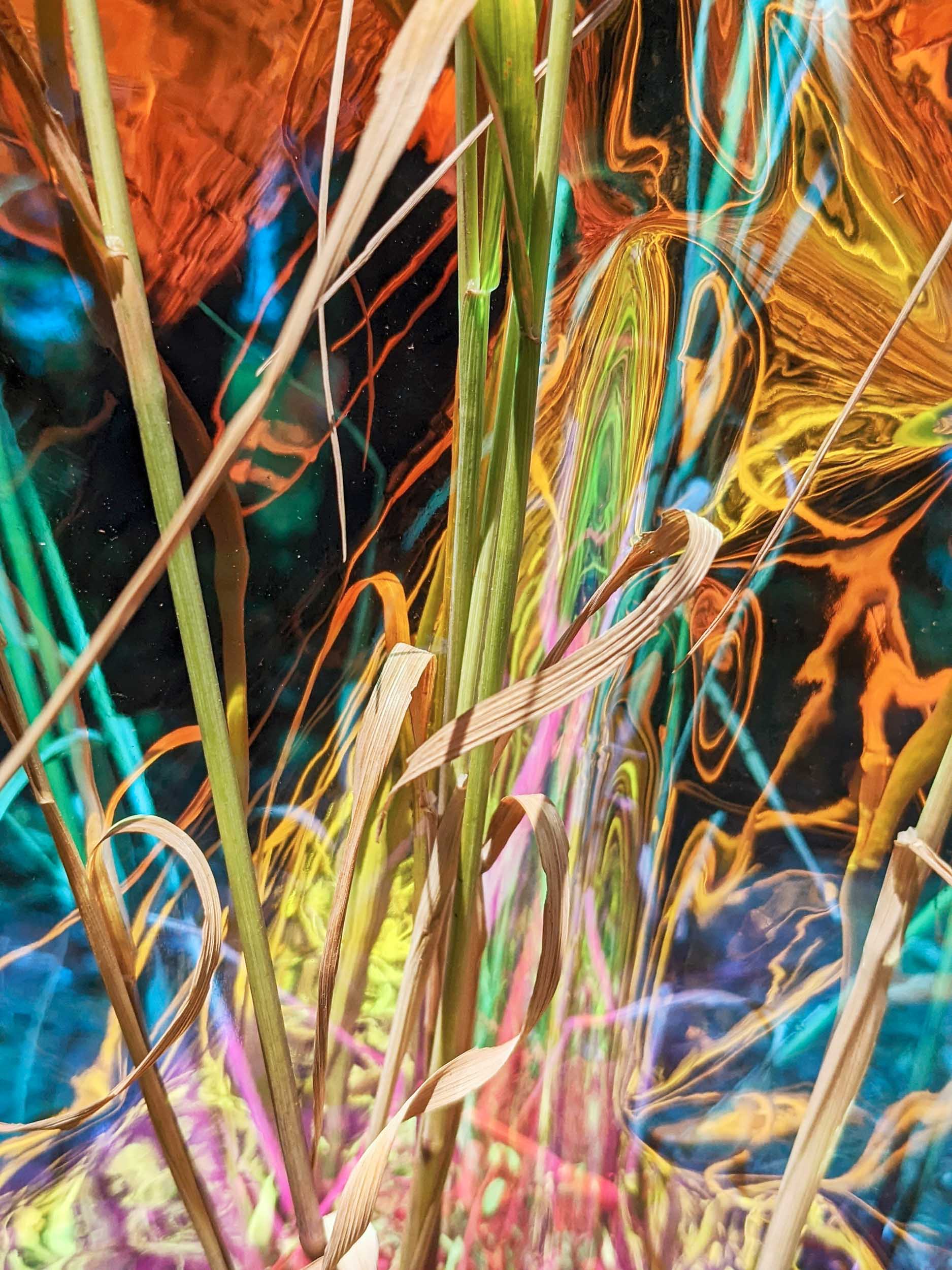 Eurydikes Wiederkehr / Eurydice’s Return to Light, 2022, Chromalux print (dye-sublimation print on aluminium) 60 x 45 cm, Edition of 4 + 1AP