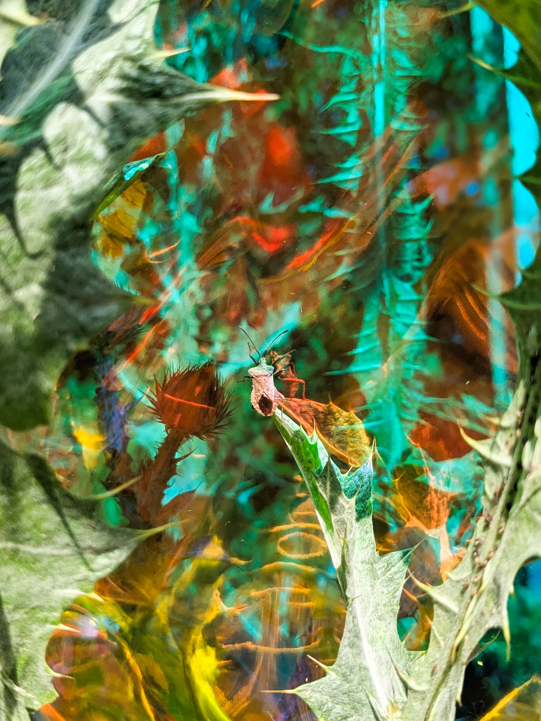 Im Banne von dem, was da kommen sollte / Under the Spell of What Was Yet to Come, 2025, Chromalux print (dye-sublimation print on aluminium), 60 x 45 cm, Edition of 4 + 1AP