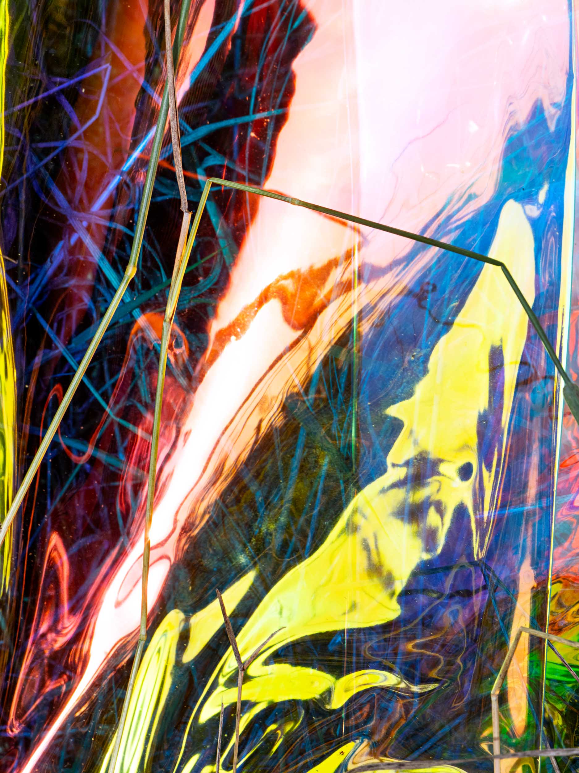 L’oiseau mouche, 2023 Chromalux print (dye-sublimation print on aluminium), 60 x 45 cm, Edition of 4 + 1AP