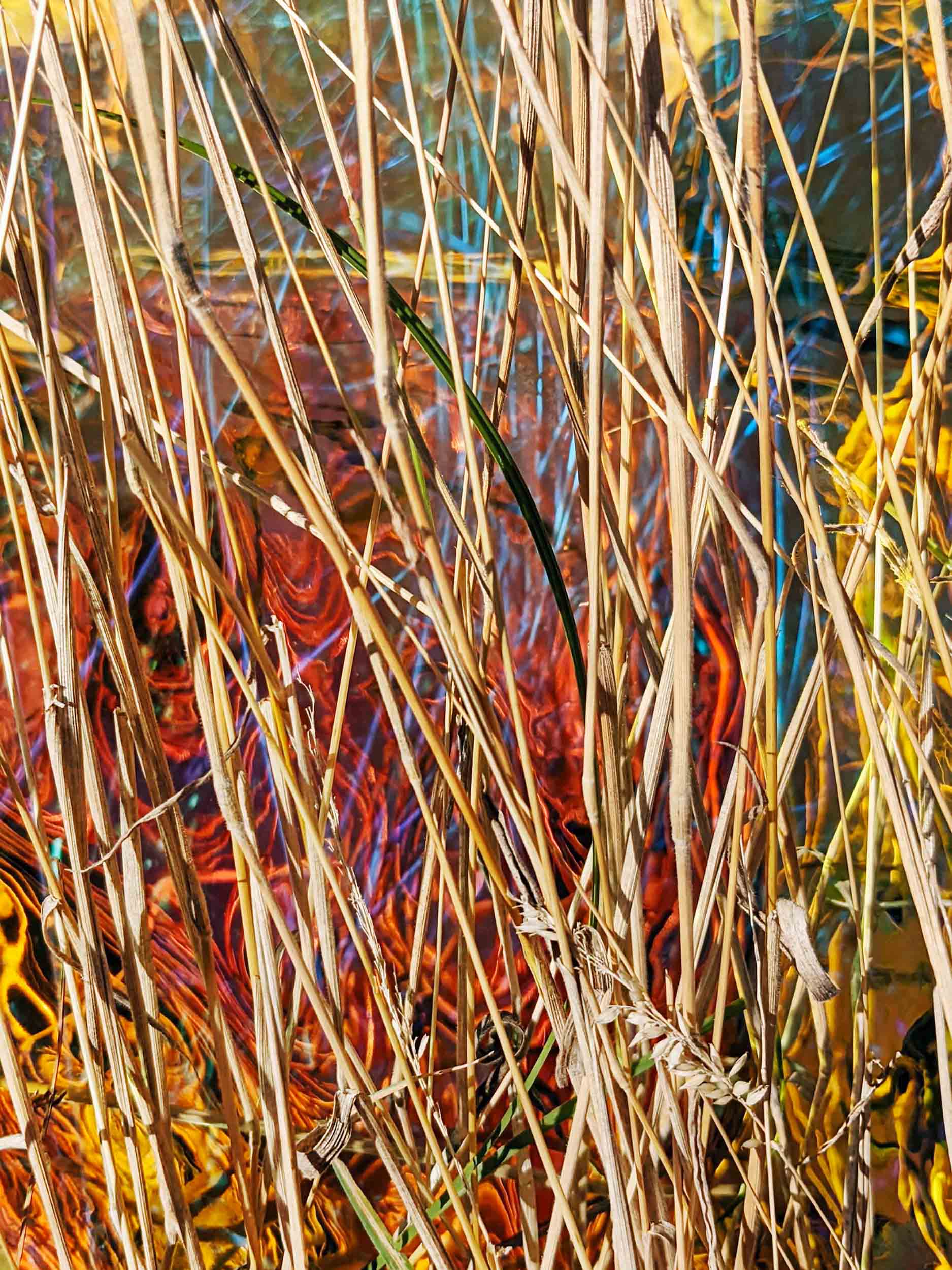Verhoffte Farbenwirrnis I / Desired chromatic turmoil I (Diptych), 2022, Chromalux print (dye-sublimation print on aluminium) 60 x 45 cm, Edition of 4 + 1AP