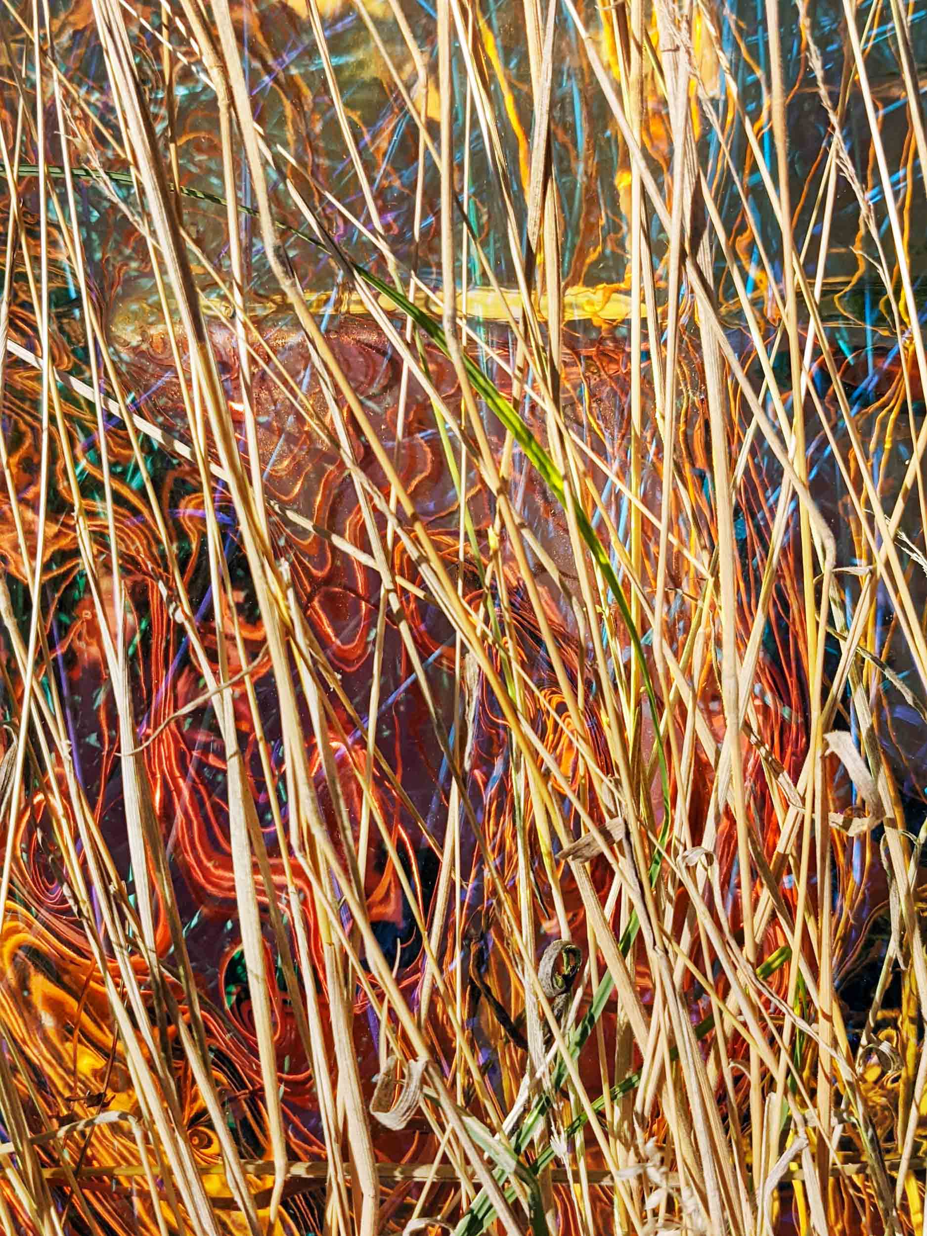 Verhoffte Farbenwirrnis II / Desired chromatic turmoil II (Diptych), 2022/2025, Chromalux print (dye-sublimation print on aluminium), 60 x 45 cm, Edition of 4 + 1AP