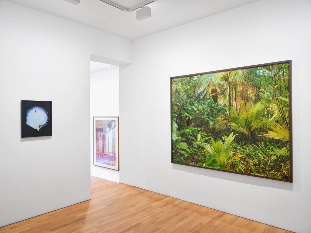 ‘Meanwhile‘ at ROBERT MORAT GALERIE, Berlin, 2026