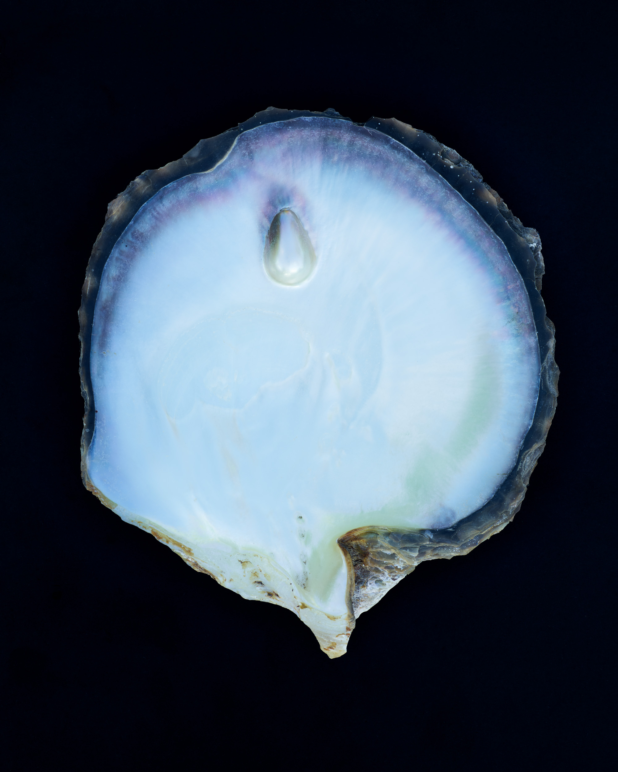 Mabe Pearl, 2024, Inkjet pigment print, 50 x 40 cm, Edition of 3 + 1AP